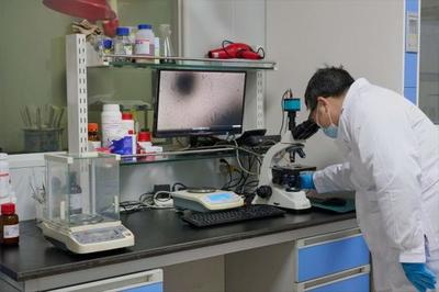 以生物造萬物 合成生物產業化提速，開啟生物技術研發新紀元
